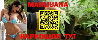 прущие грибы Апшеронск