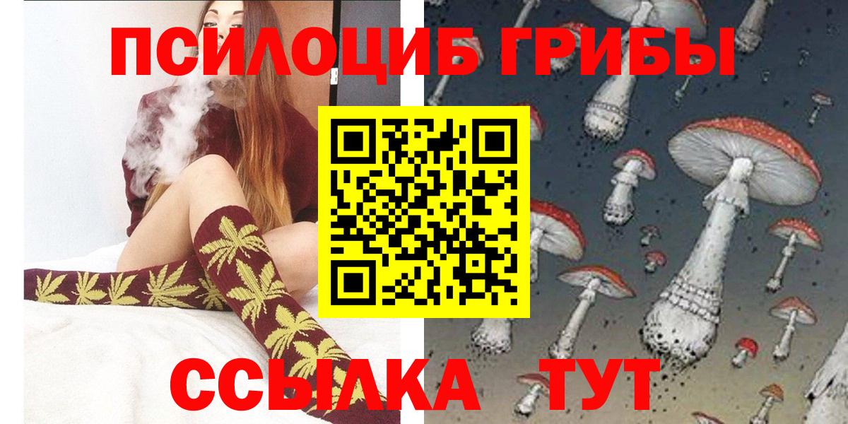 Балашиха  Псилоцибиновые грибы GOLDEN TEACHER  Вход с VPN 