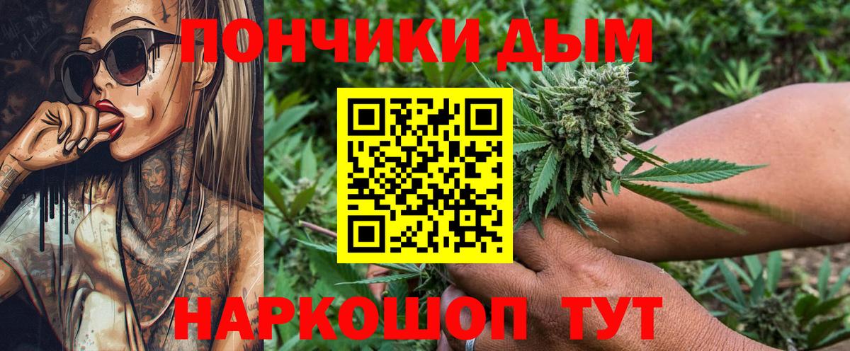 Конопля сатива Балашиха